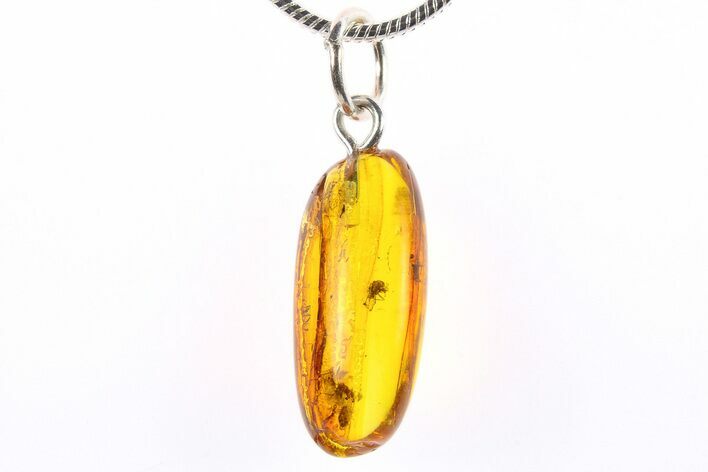 Polished Baltic Amber Pendant (Necklace) - Contains Flies! #273763